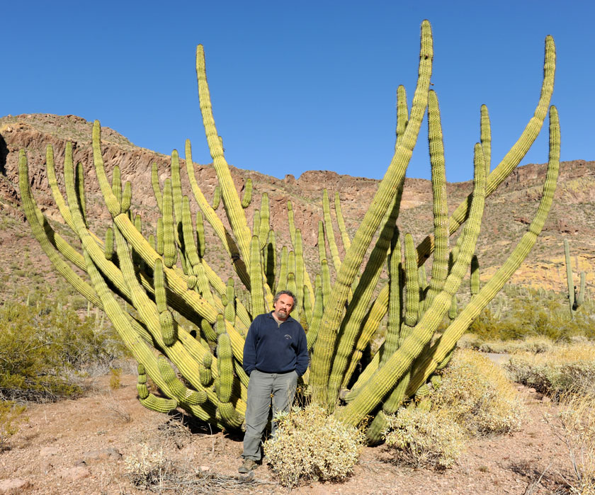 Pamiątka z Organ Pipe Cactus National Monument